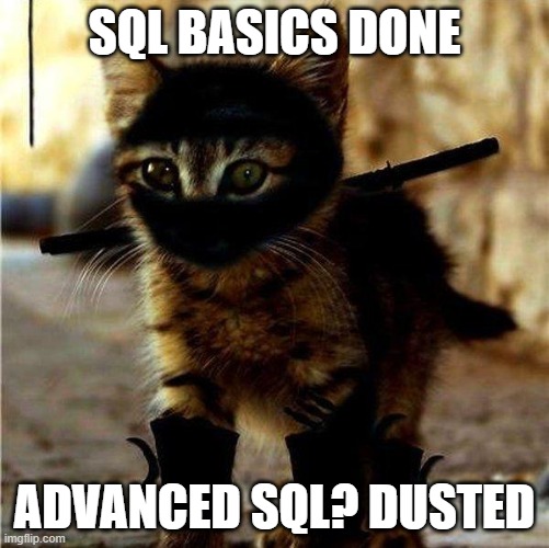 Meme de SQL